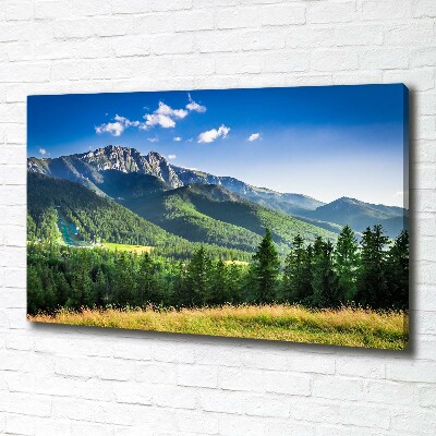 Print pe canvas Dealul din Tatra