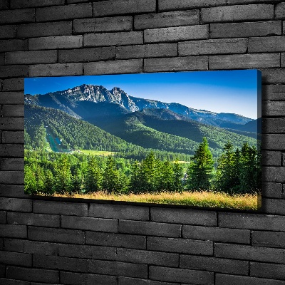 Tablou canvas Dealul din Tatra