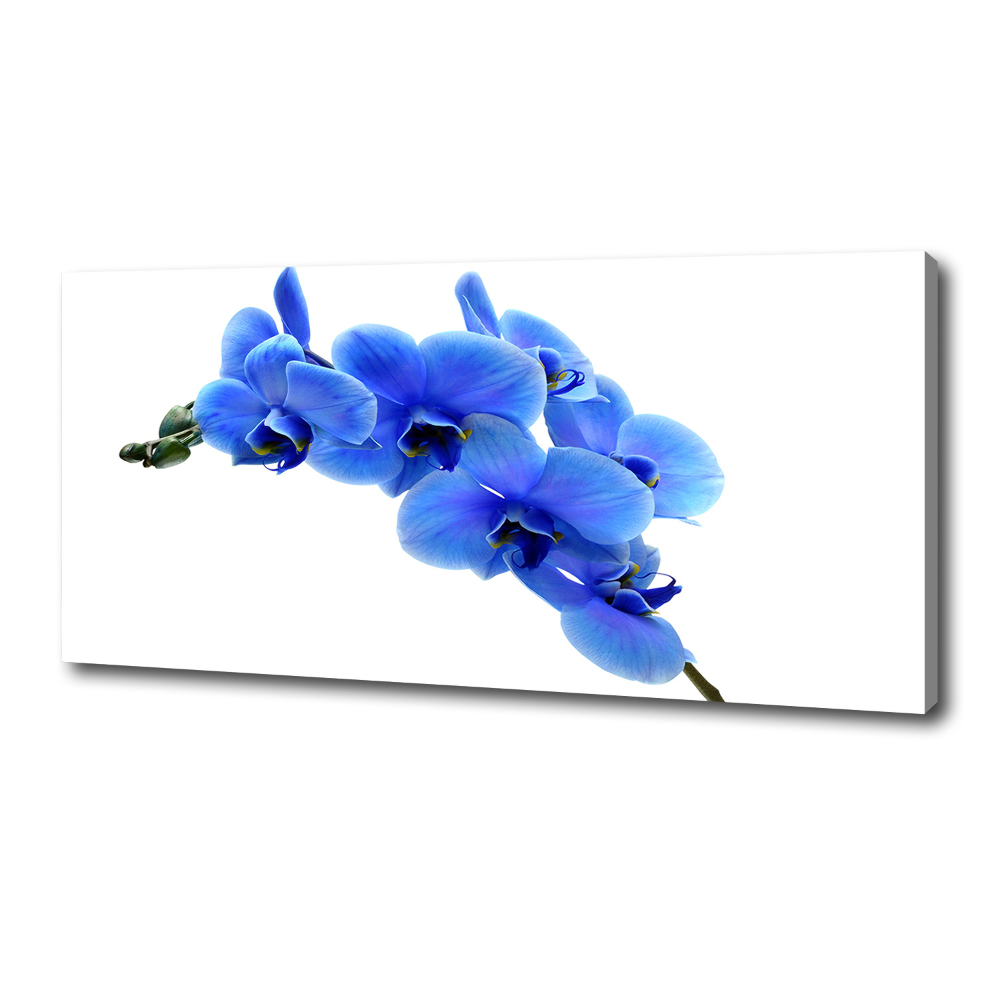 Tablou pe pânză albastru orhidee