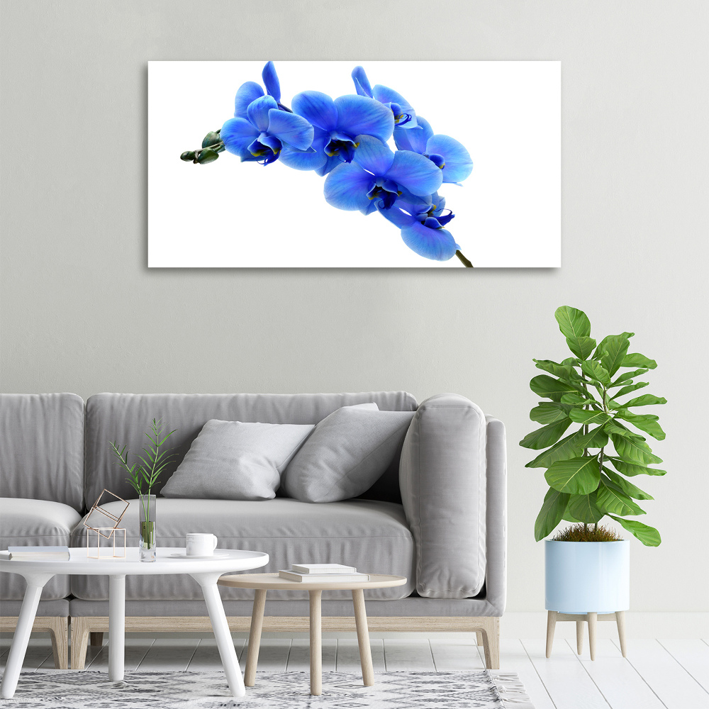Tablou pe pânză albastru orhidee