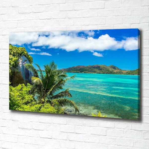 Tablou canvas Seychelles Coast