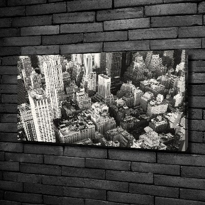 Tablou canvas New York pasăre de zbor