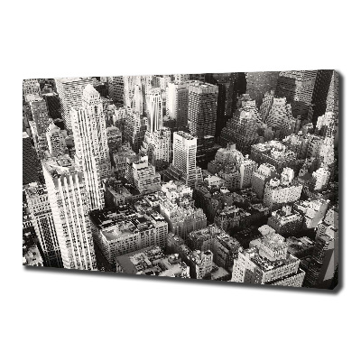 Tablou canvas New York pasăre de zbor