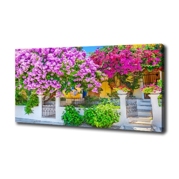 Print pe canvas Casa cu bougainvillea