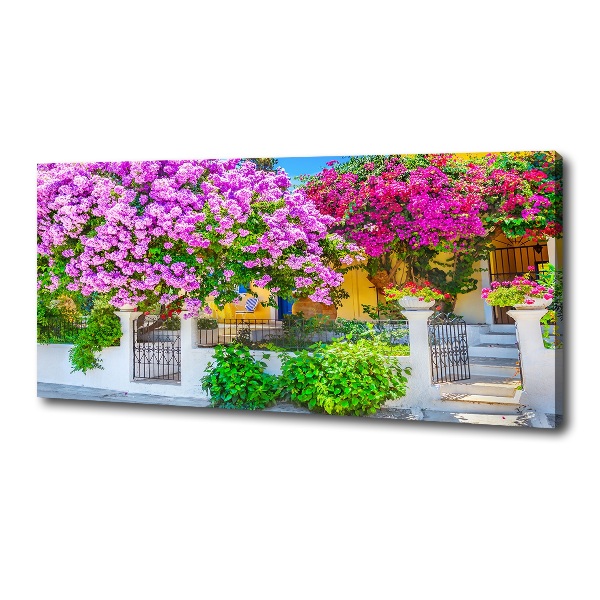 Print pe canvas Casa cu bougainvillea