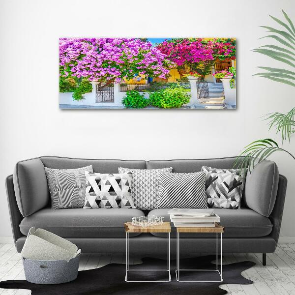 Print pe canvas Casa cu bougainvillea