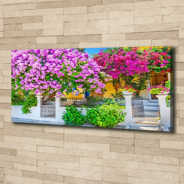 Print pe canvas Casa cu bougainvillea