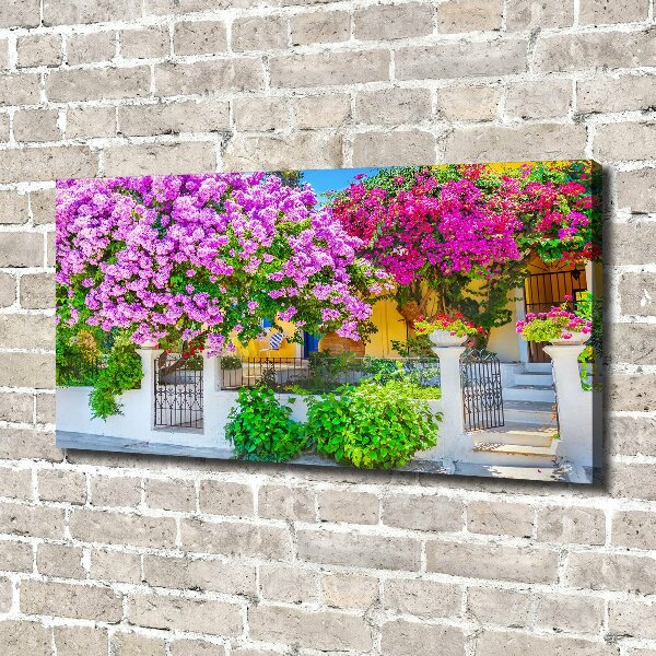 Print pe canvas Casa cu bougainvillea