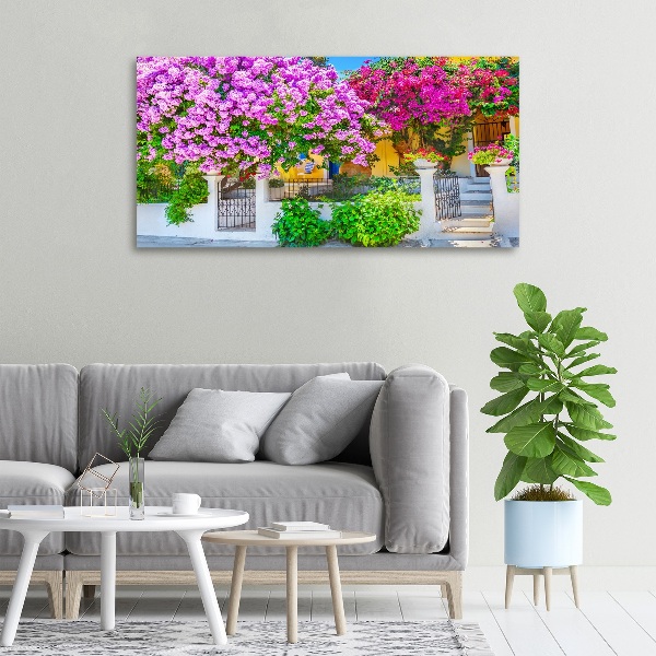 Print pe canvas Casa cu bougainvillea