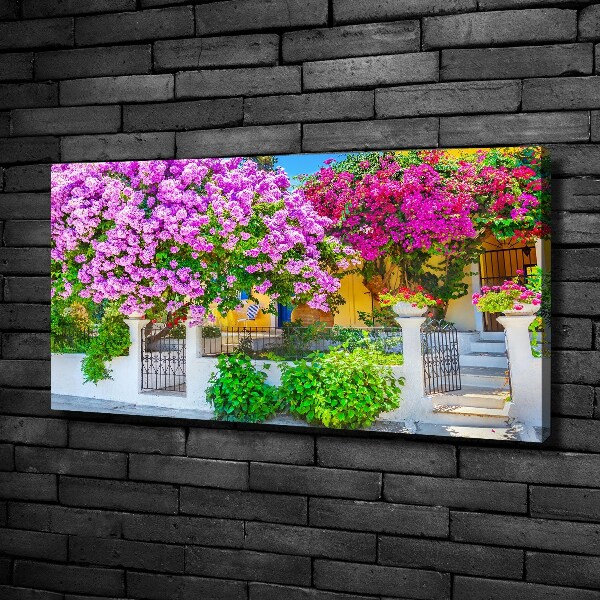 Print pe canvas Casa cu bougainvillea