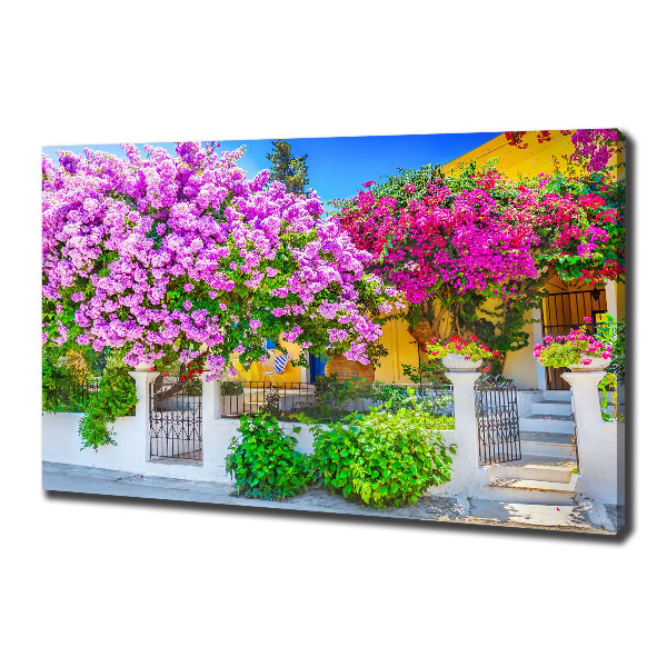 Print pe canvas Casa cu bougainvillea