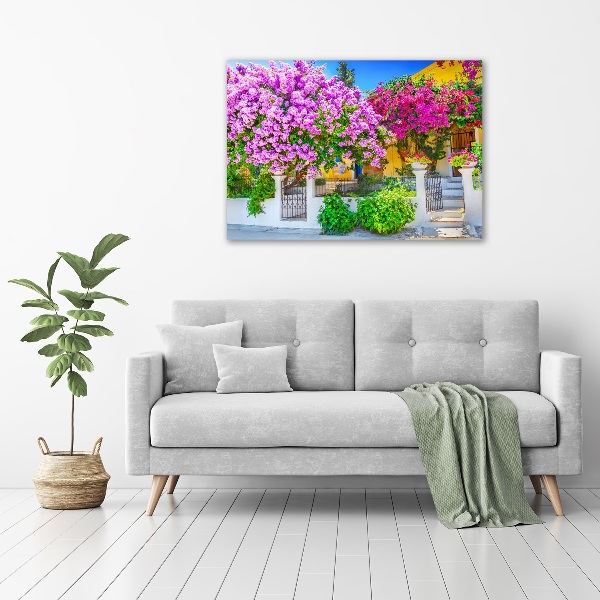 Print pe canvas Casa cu bougainvillea