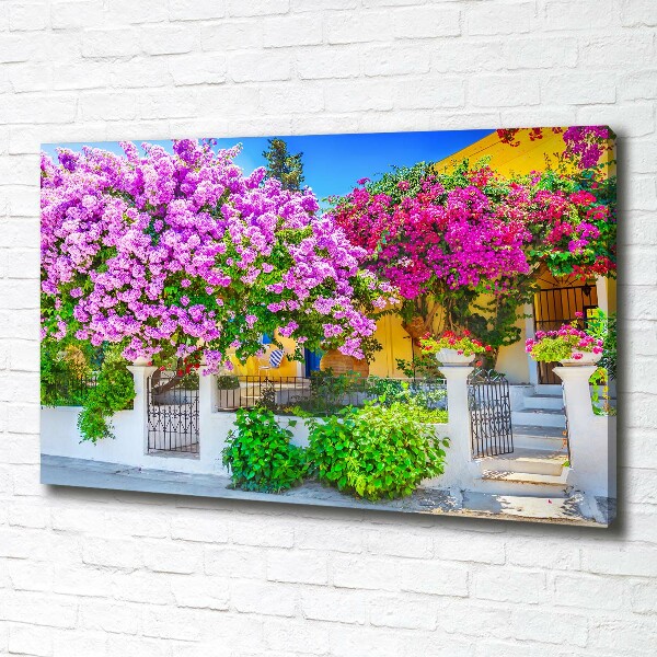 Print pe canvas Casa cu bougainvillea