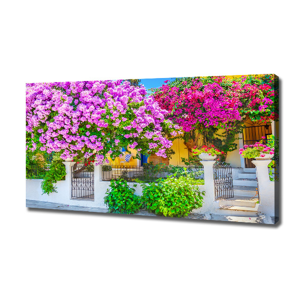 Print pe canvas Casa cu bougainvillea