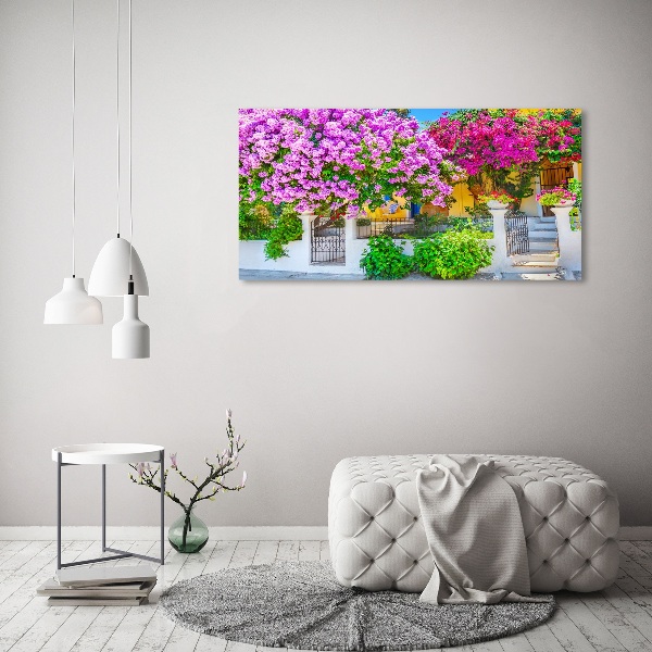 Print pe canvas Casa cu bougainvillea