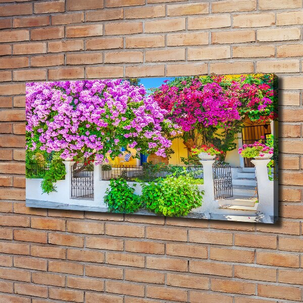 Print pe canvas Casa cu bougainvillea