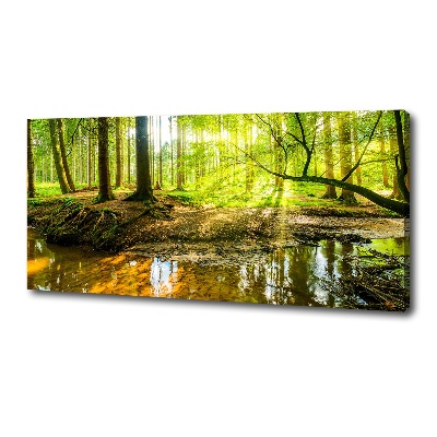 Tablou pe pânză canvas Iazul în pădure