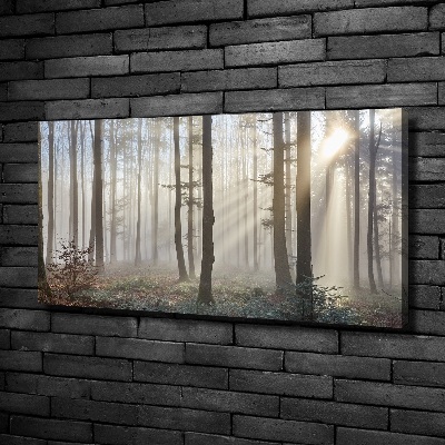Imprimare tablou canvas Ceață în pădure