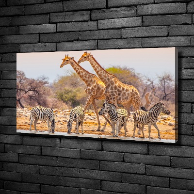 Imprimare tablou canvas Girafe și zebre