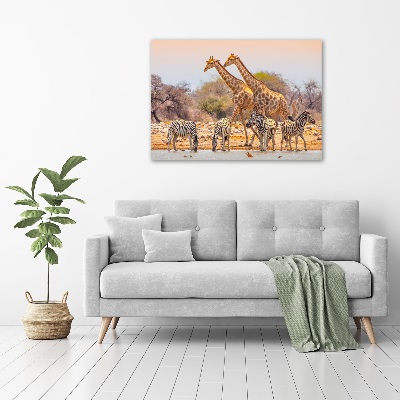 Imprimare tablou canvas Girafe și zebre