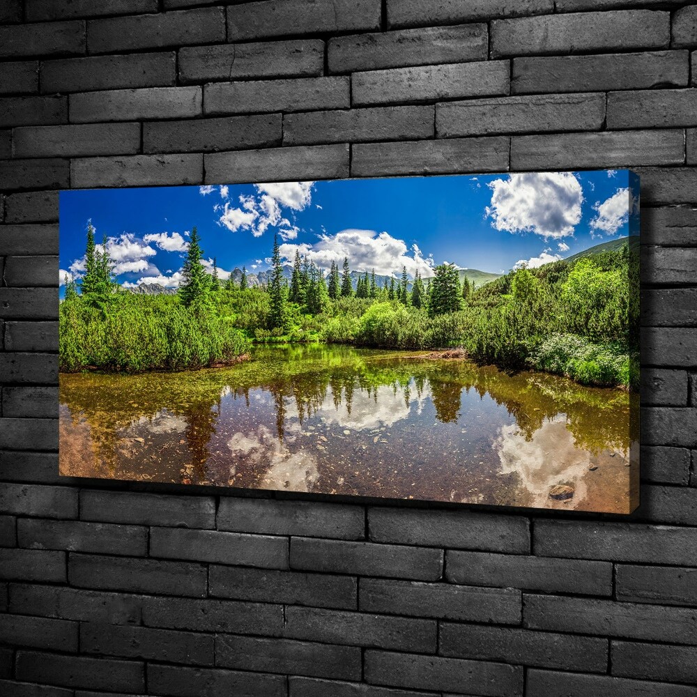 Tablou pe pânză canvas Lacul în pădure