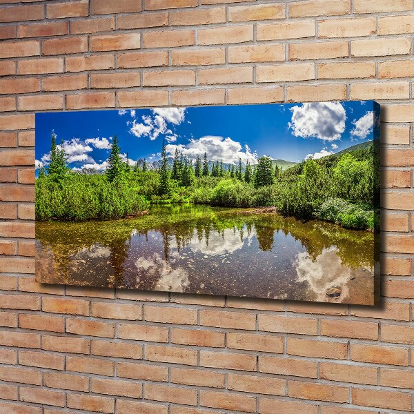 Tablou pe pânză canvas Lacul în pădure