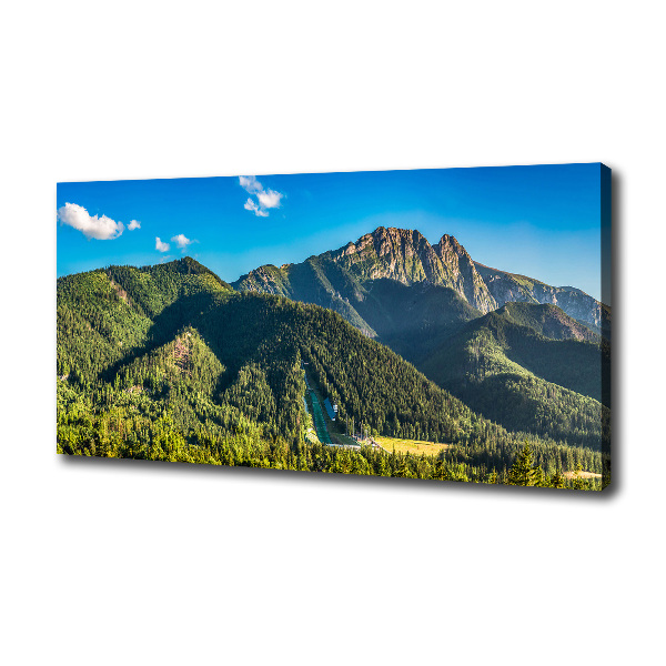 Tablou pe pânză canvas panorama Tatra