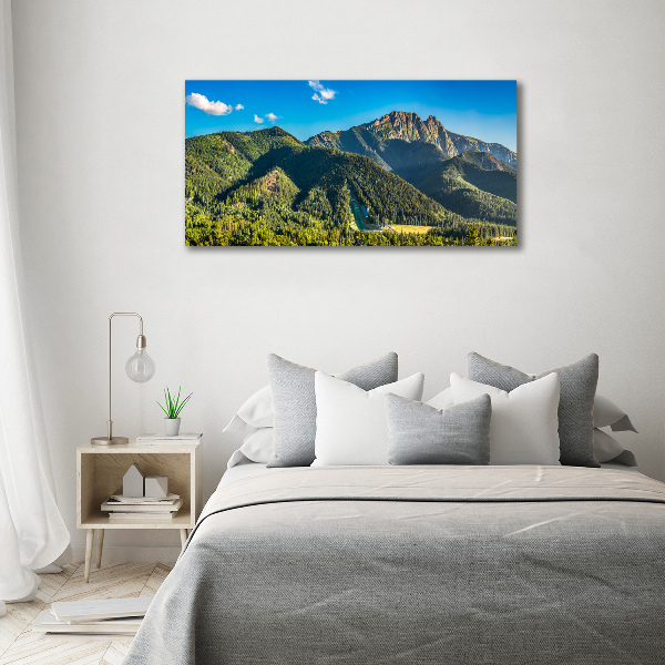 Tablou pe pânză canvas panorama Tatra