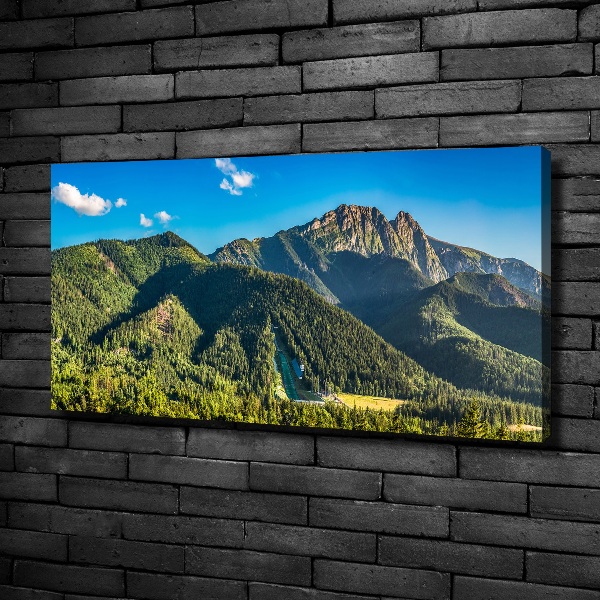 Tablou pe pânză canvas panorama Tatra