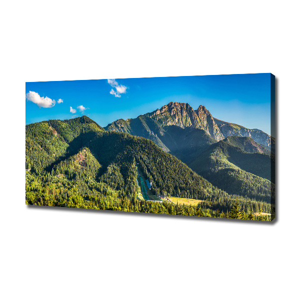 Tablou pe pânză canvas panorama Tatra