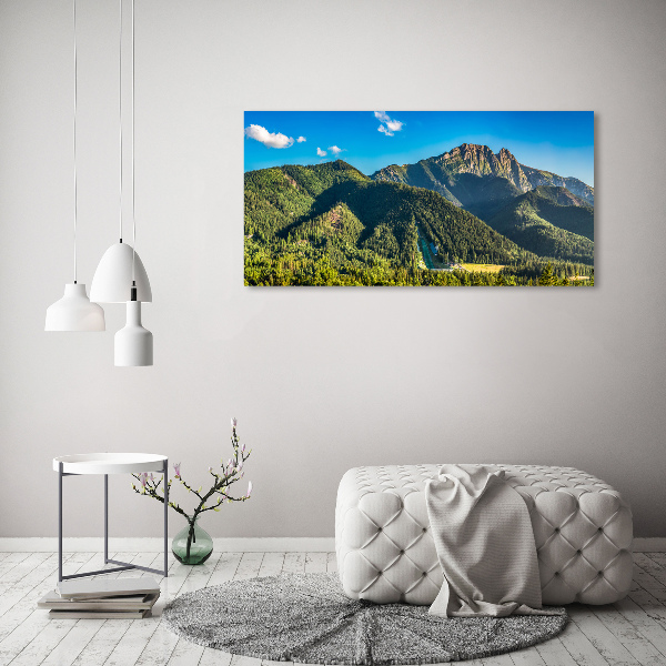 Tablou pe pânză canvas panorama Tatra