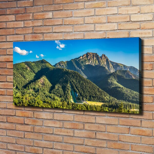 Tablou pe pânză canvas panorama Tatra