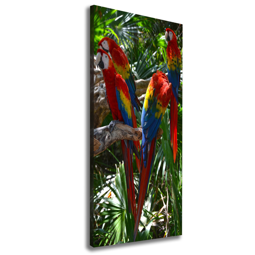 Tablouri tipărite pe pânză papagali Macaws