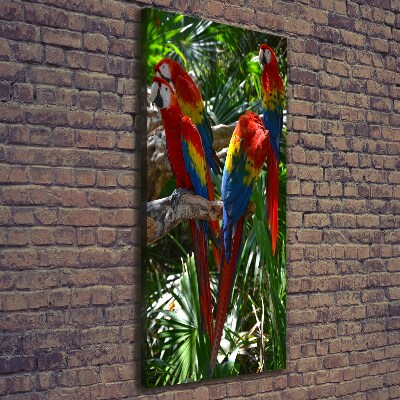 Tablouri tipărite pe pânză papagali Macaws