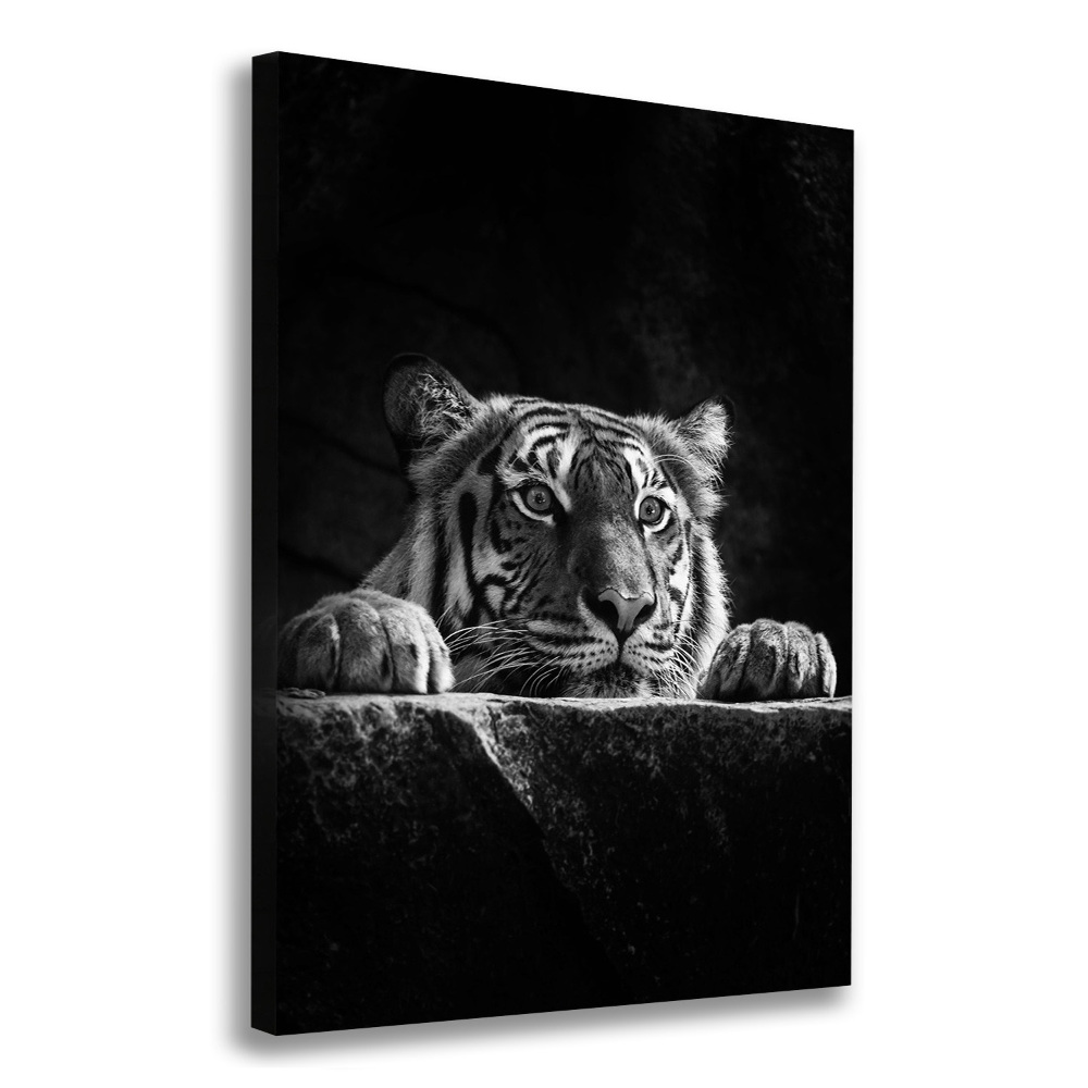 Imprimare tablou canvas Tigru