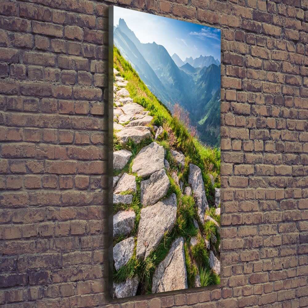 Tablou pe pânză canvas traseu de munte