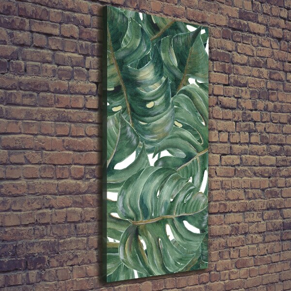 Tablou canvas Monstera