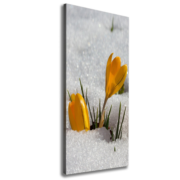 Print pe canvas branduse galben