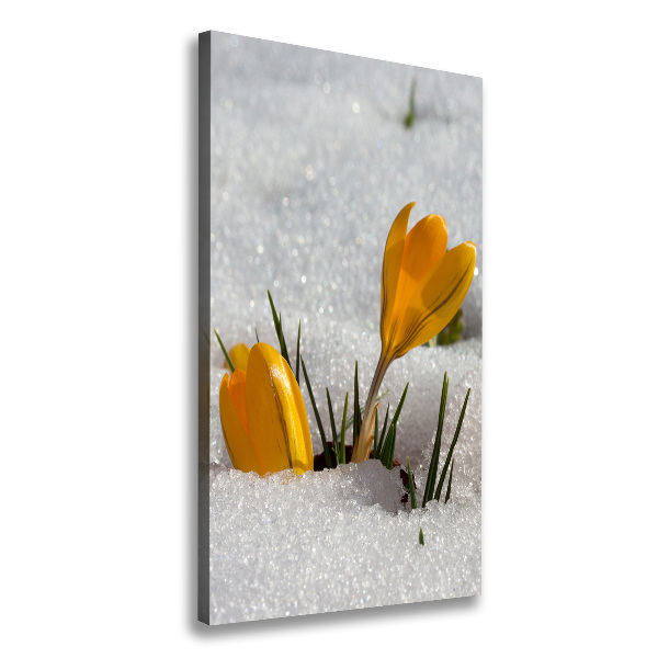 Print pe canvas branduse galben