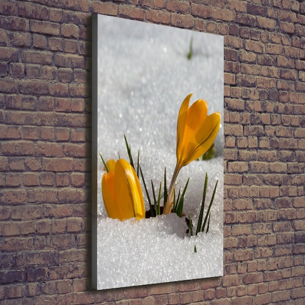 Print pe canvas branduse galben