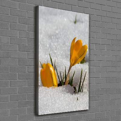 Print pe canvas branduse galben