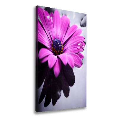 Print pe canvas gerbera roz