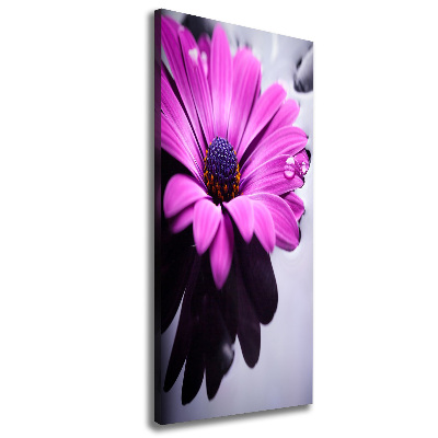 Print pe canvas gerbera roz