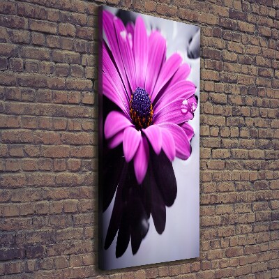 Print pe canvas gerbera roz