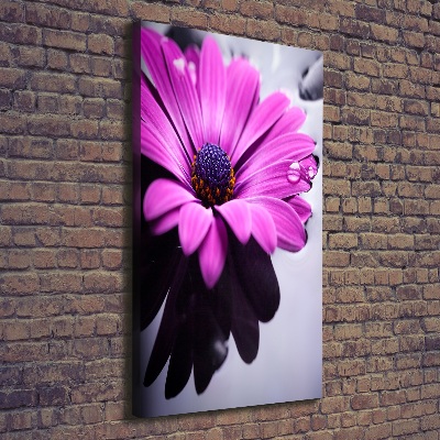 Print pe canvas gerbera roz