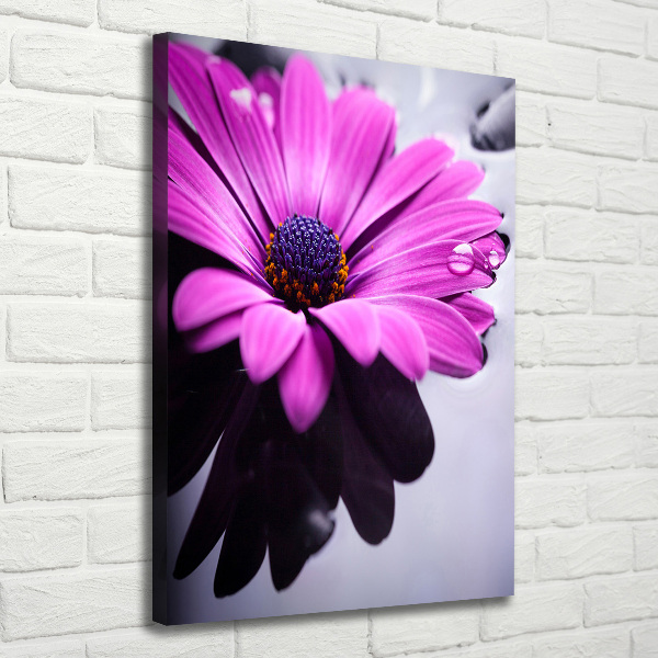 Print pe canvas gerbera roz