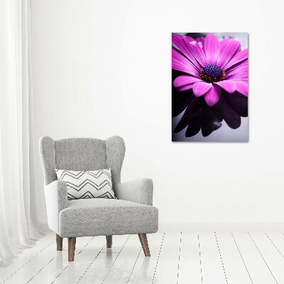 Print pe canvas gerbera roz