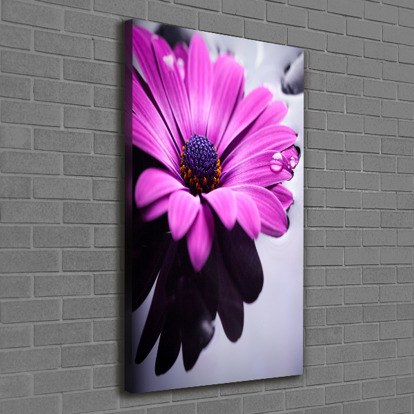 Print pe canvas gerbera roz