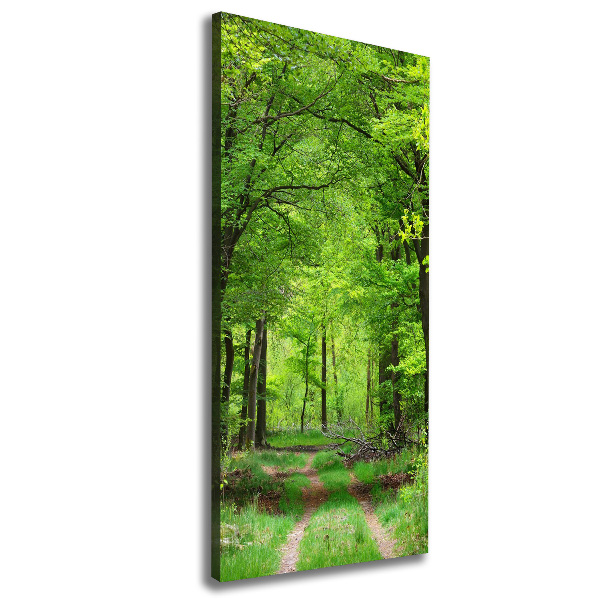 Tablou canvas Pădure verde