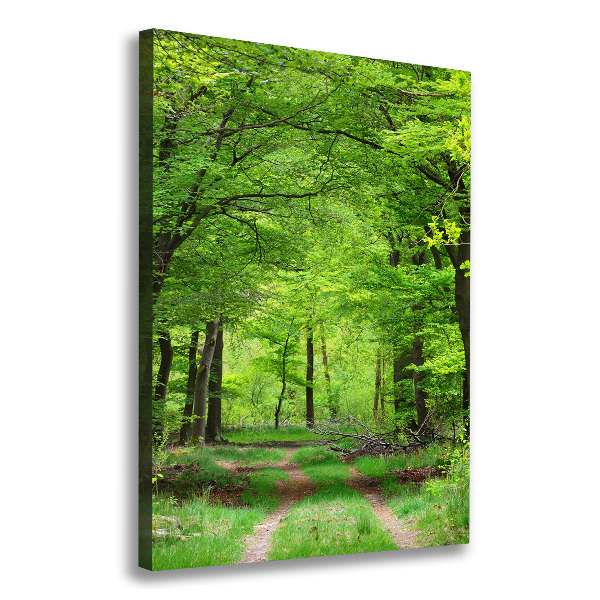 Tablou canvas Pădure verde